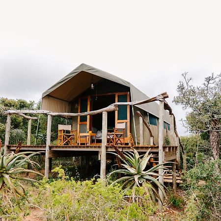 Woodbury Tented Camp - 아마칼라 야생동물 보호구역 외부 사진