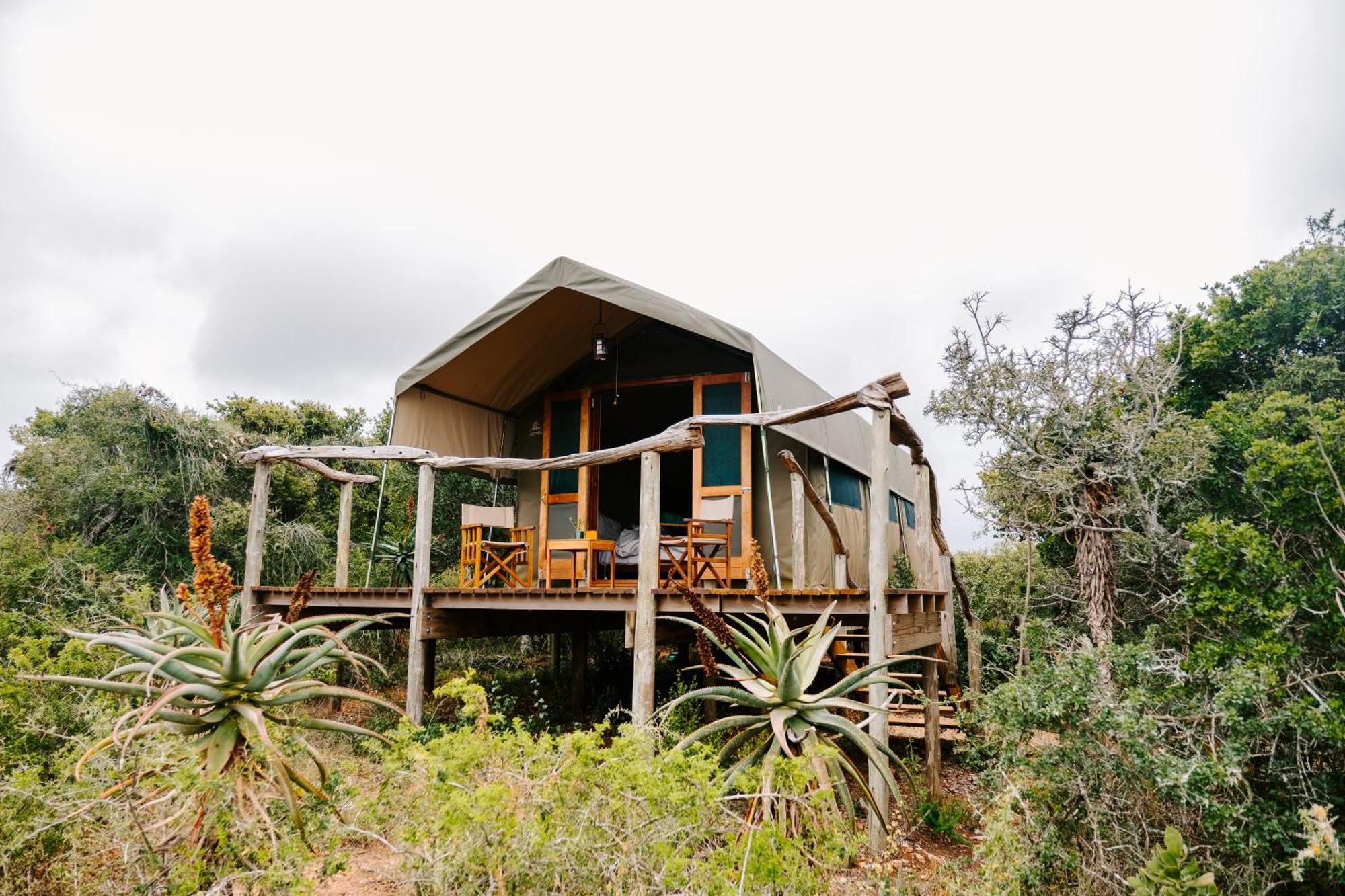 Woodbury Tented Camp - 아마칼라 야생동물 보호구역 외부 사진
