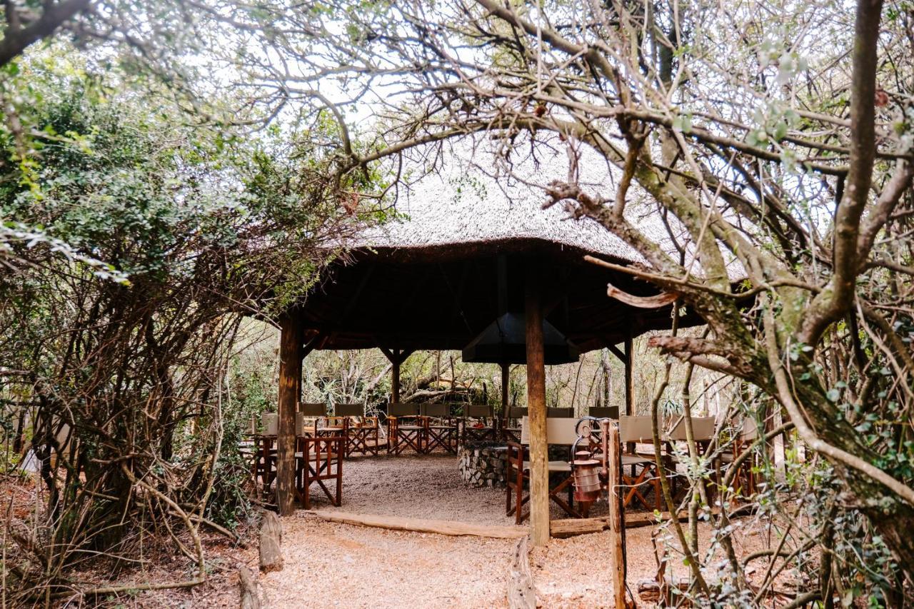 Woodbury Tented Camp - 아마칼라 야생동물 보호구역 외부 사진