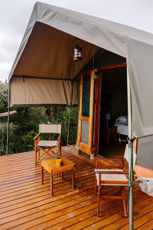 Woodbury Tented Camp - 아마칼라 야생동물 보호구역 외부 사진