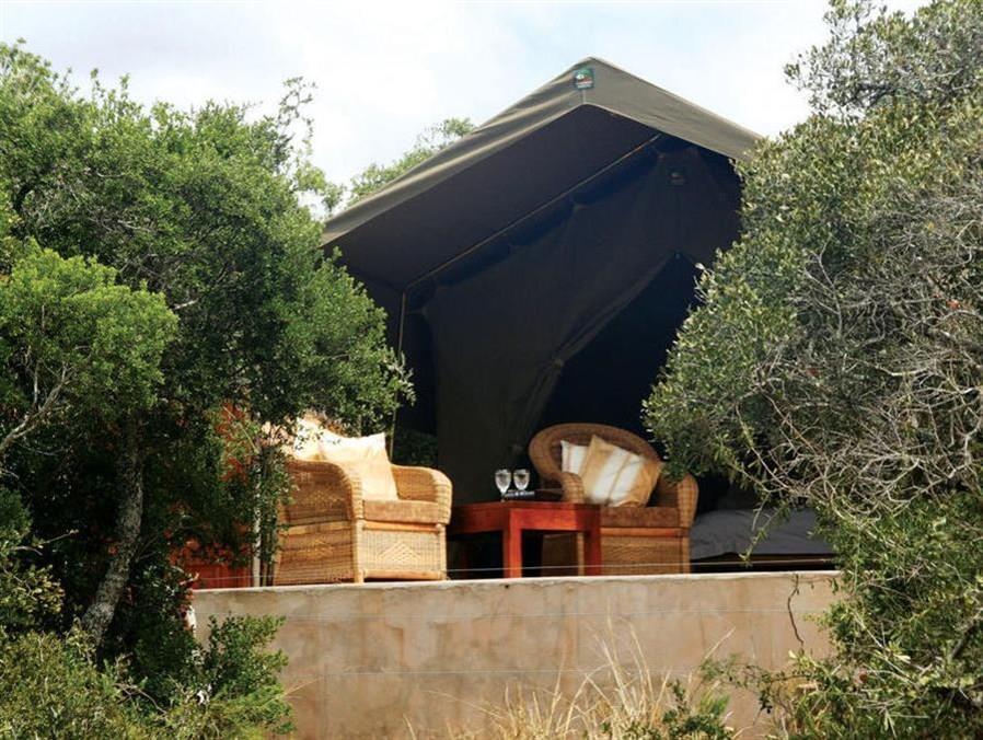 Woodbury Tented Camp - 아마칼라 야생동물 보호구역 외부 사진