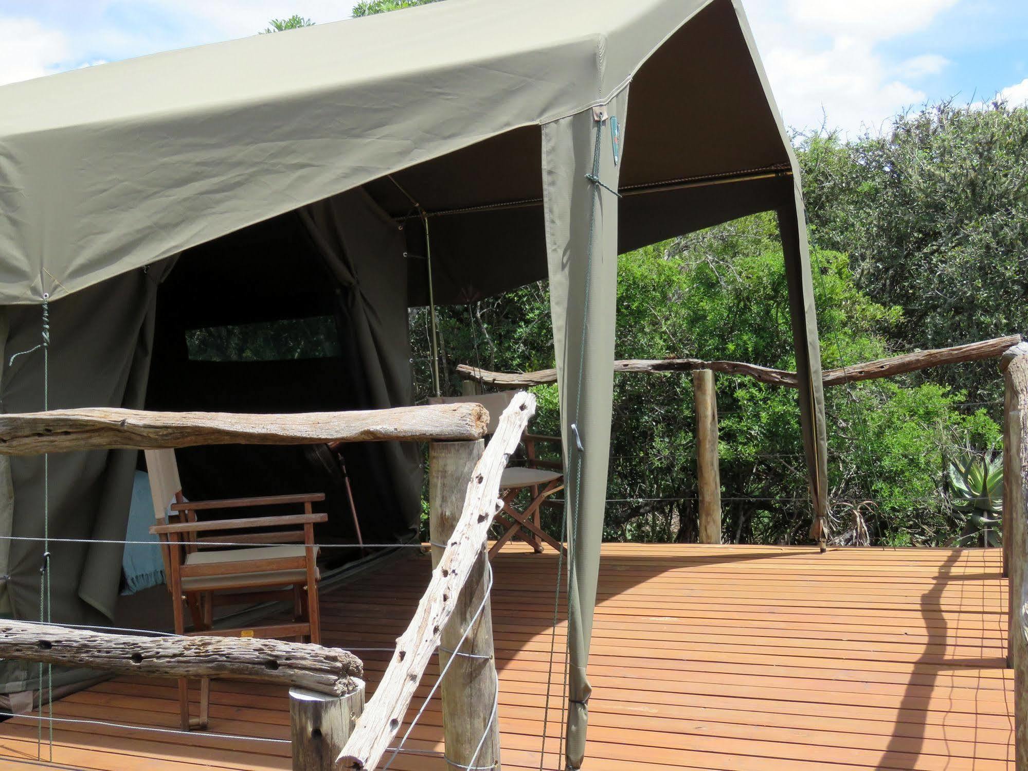 Woodbury Tented Camp - 아마칼라 야생동물 보호구역 외부 사진