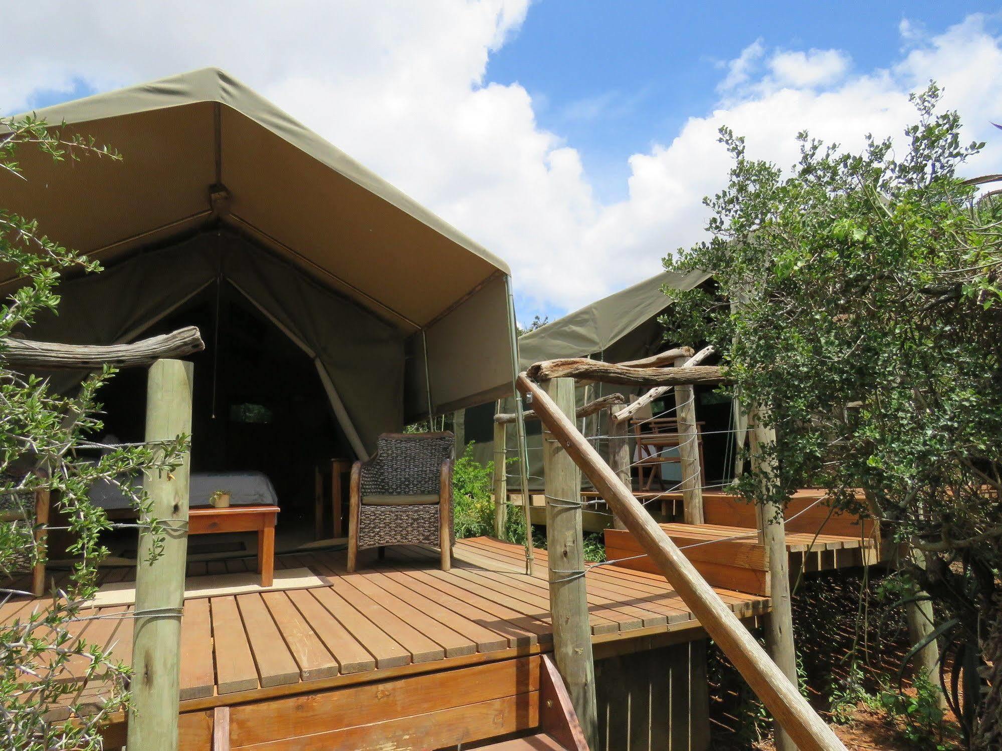 Woodbury Tented Camp - 아마칼라 야생동물 보호구역 외부 사진