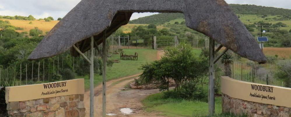 Woodbury Tented Camp - 아마칼라 야생동물 보호구역 외부 사진