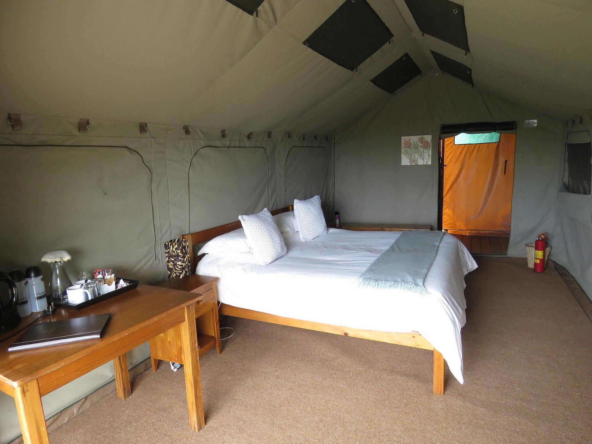 Woodbury Tented Camp - 아마칼라 야생동물 보호구역 외부 사진