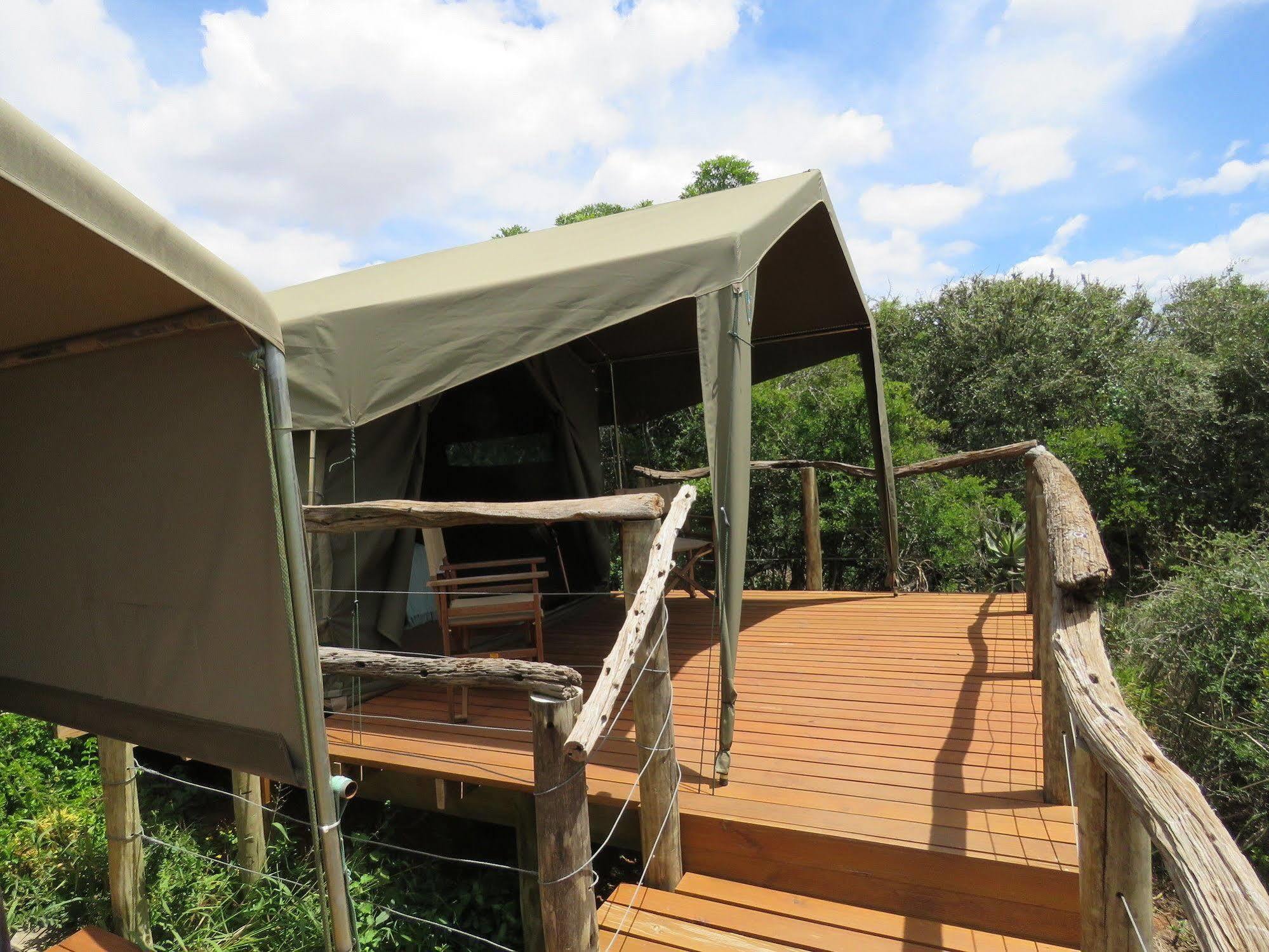 Woodbury Tented Camp - 아마칼라 야생동물 보호구역 외부 사진