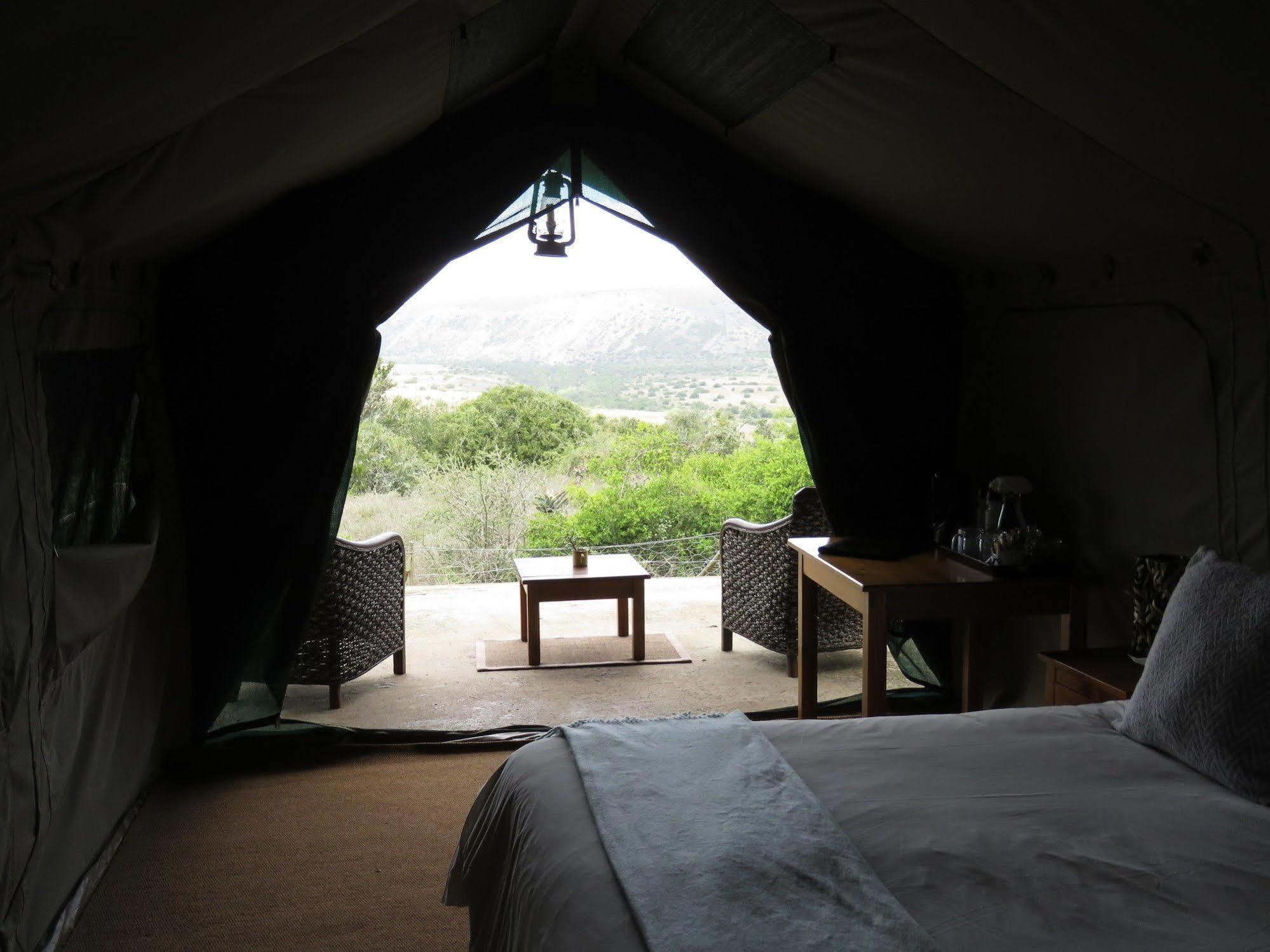 Woodbury Tented Camp - 아마칼라 야생동물 보호구역 외부 사진