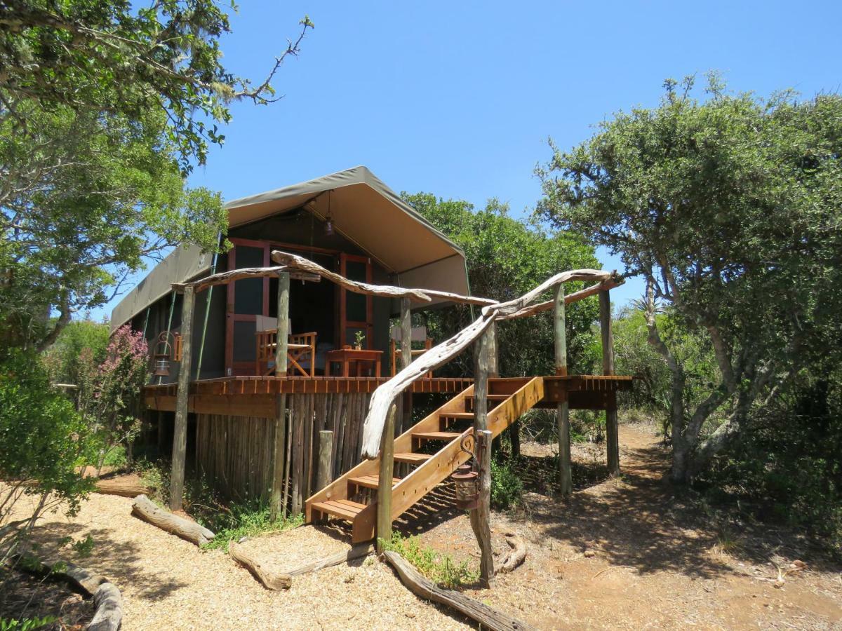 Woodbury Tented Camp - 아마칼라 야생동물 보호구역 외부 사진
