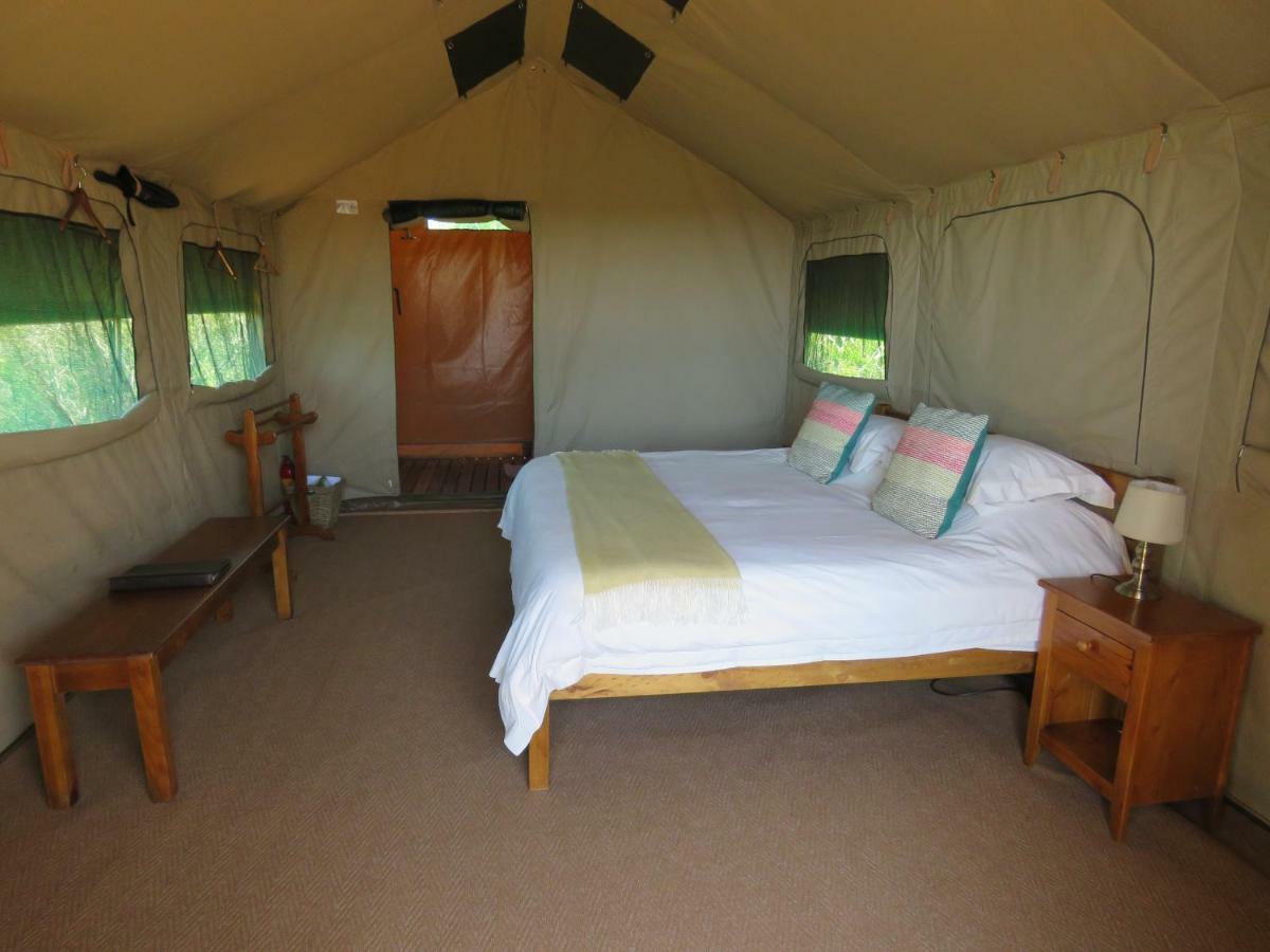 Woodbury Tented Camp - 아마칼라 야생동물 보호구역 외부 사진
